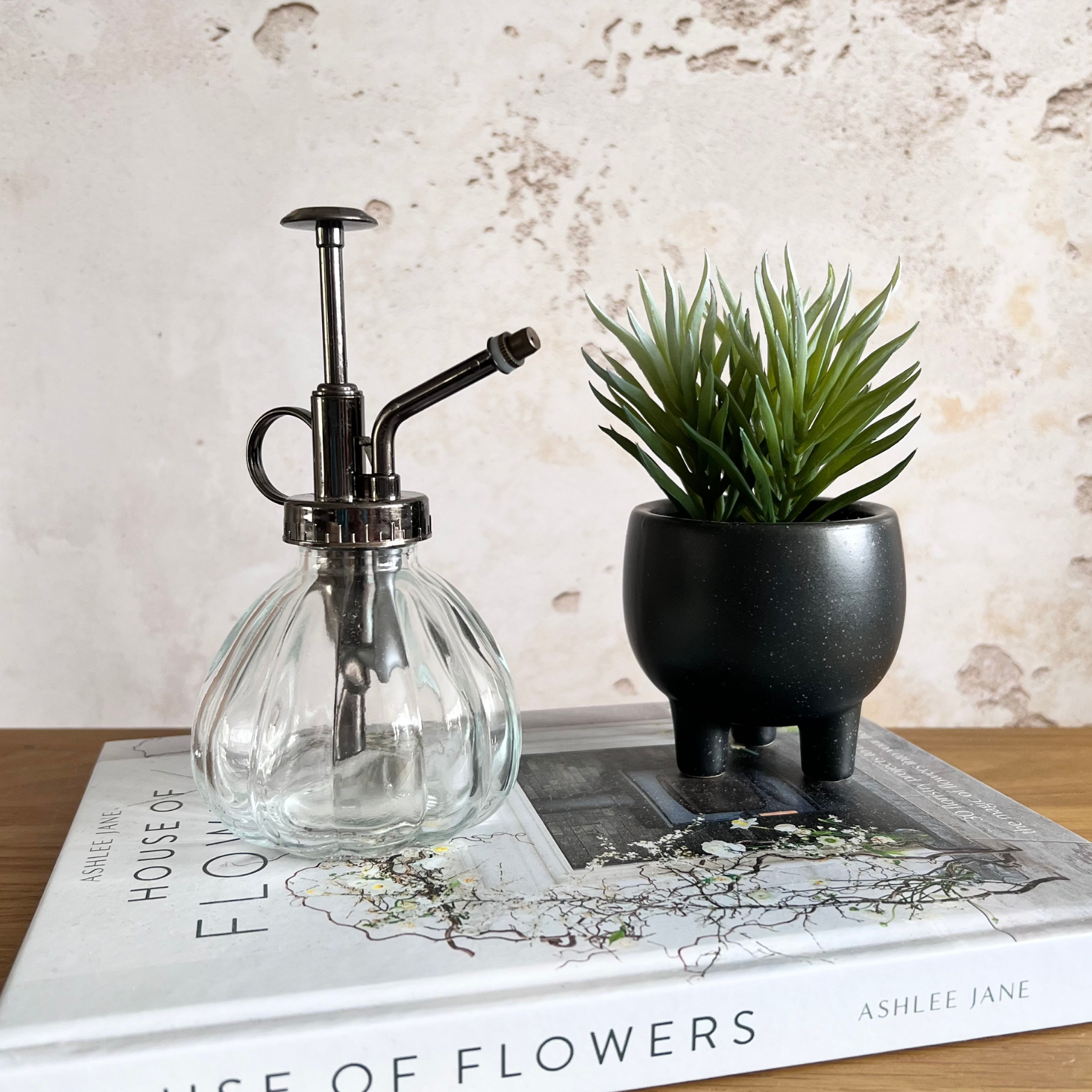 best indoor plant mister uk Plant Mister