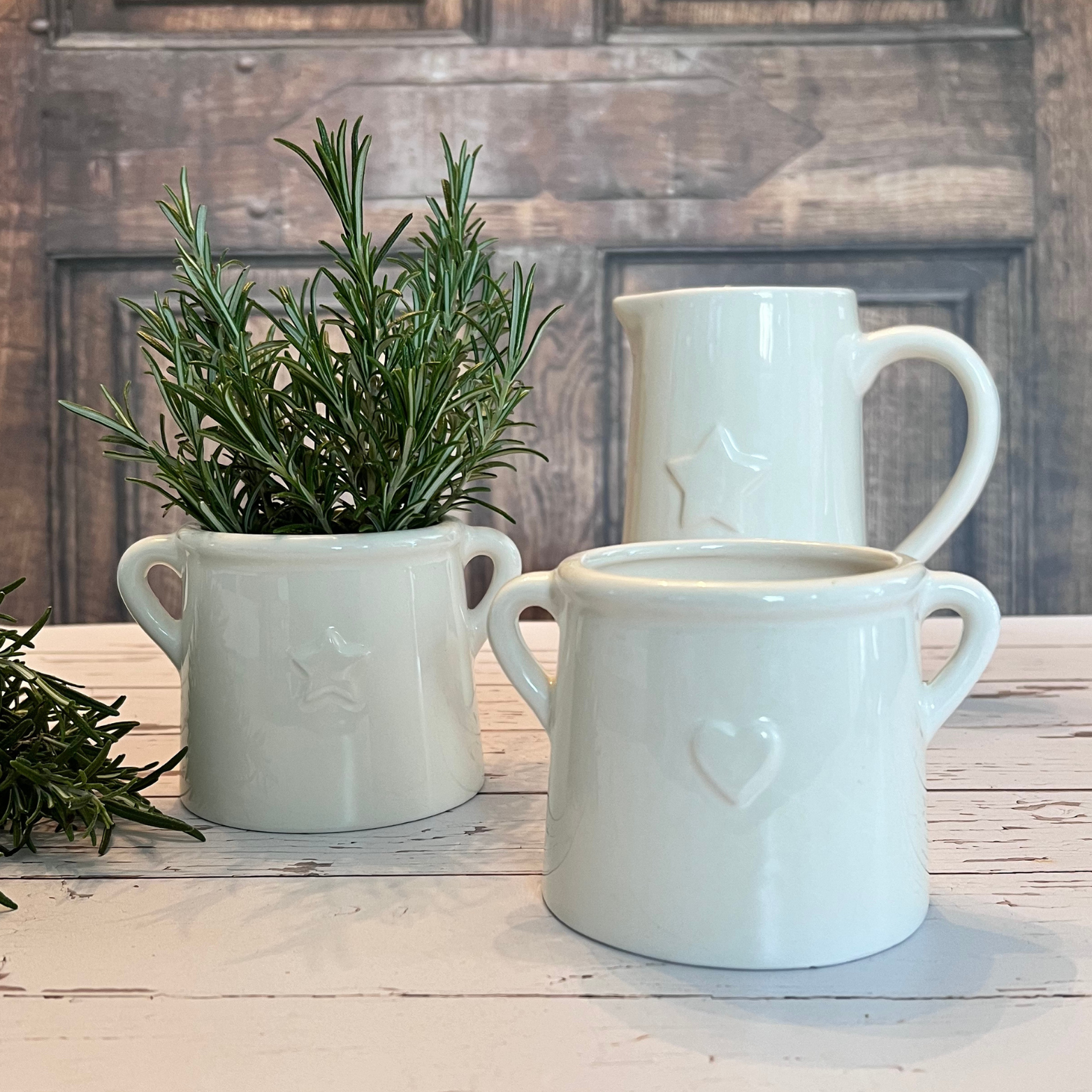 heart and star pots with rosemary