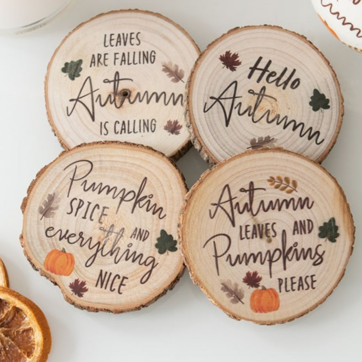 Hello autumn Coaster Set