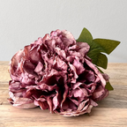 Peony Vintage Mauve Single