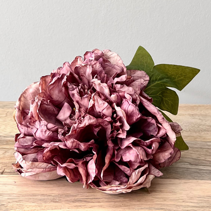 Peony Vintage Mauve Single
