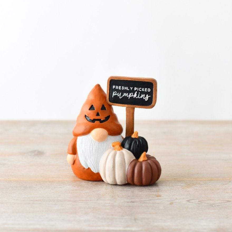 freshly picked pumpkin gonk