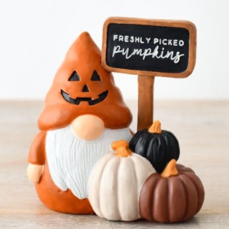 freshly picked pumpkin gonk