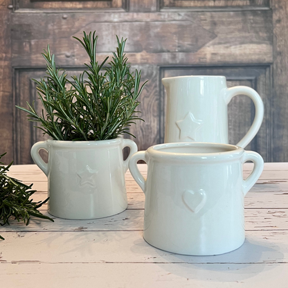 heart and star pots with rosemary 