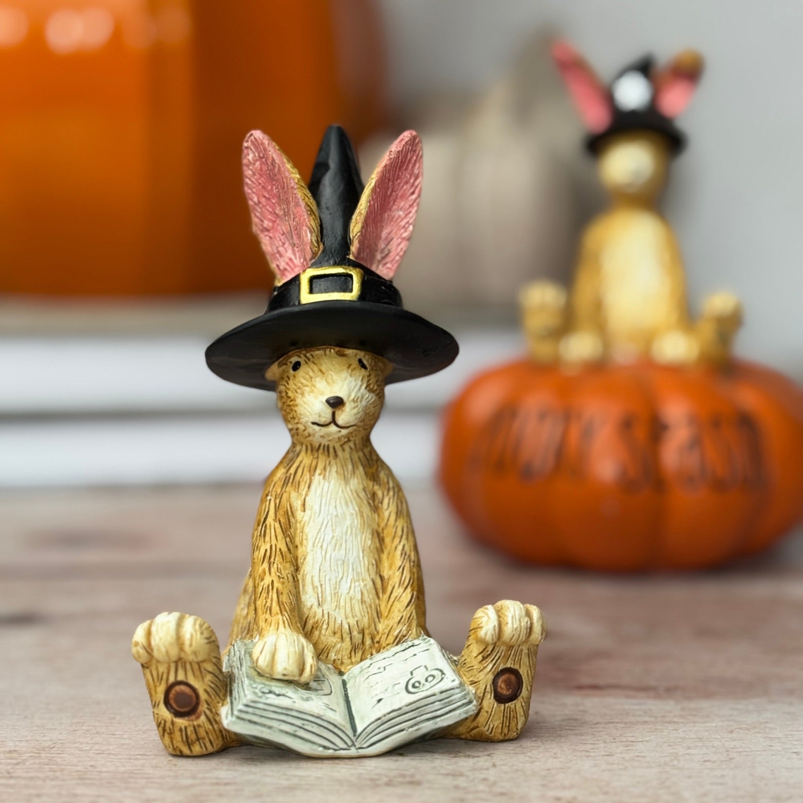 Bunny wearing a witch hat reading a spell book.