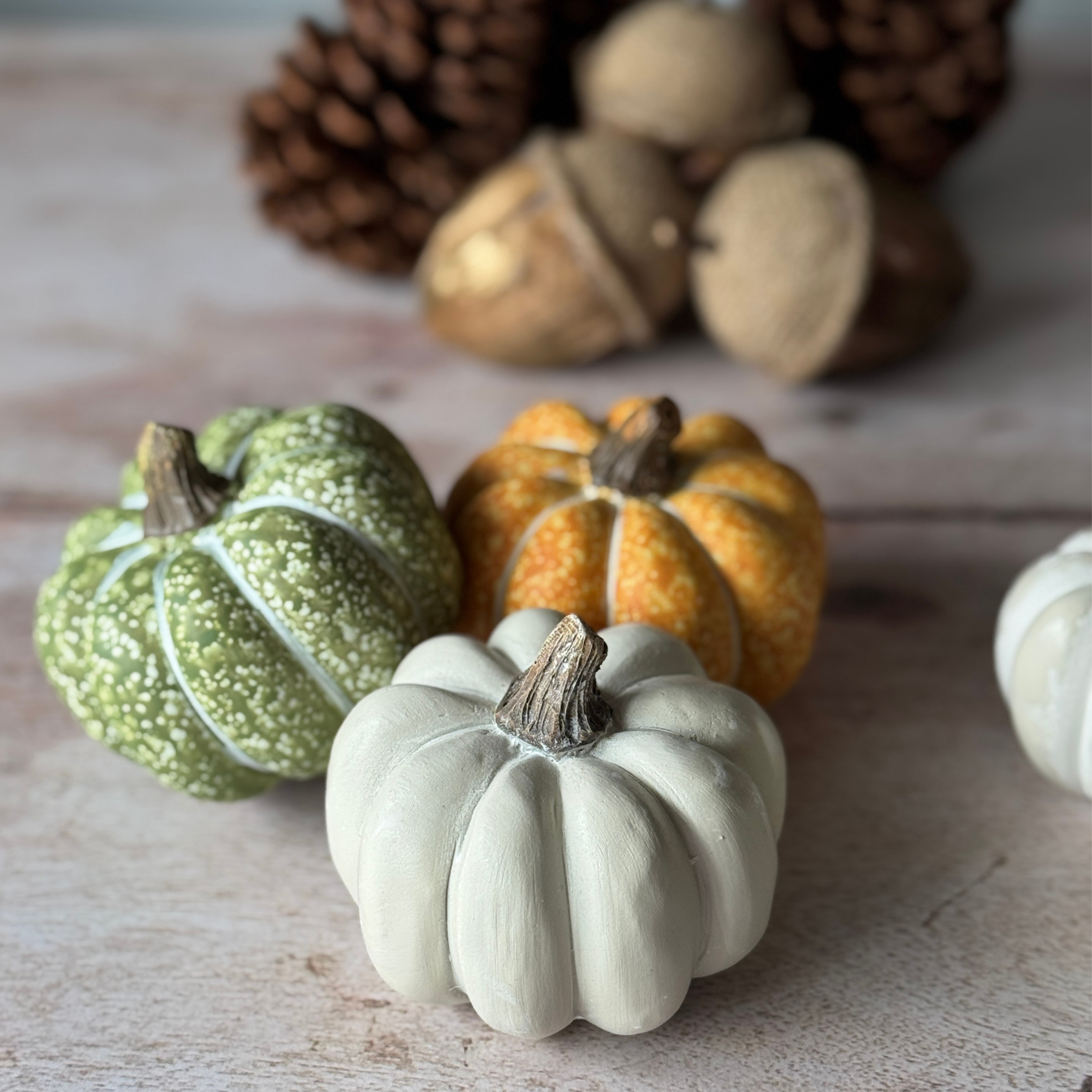 Assorted pumpkins on a wooden surface with pinecones in the background