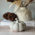 Ceramic pumpkin on a wooden surface with a decorative vase and pinecones in the background.