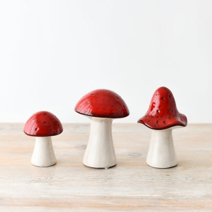 Red Toadstools