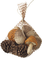 net filled with natural items pinecones acorns and mushrooms on a white background