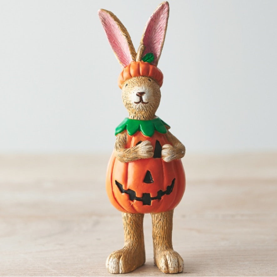 pumpkin bunny