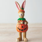 pumpkin bunny