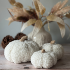 Decorative white pumpkins with textured surface on a wooden surface with dried leaves and pinecones.