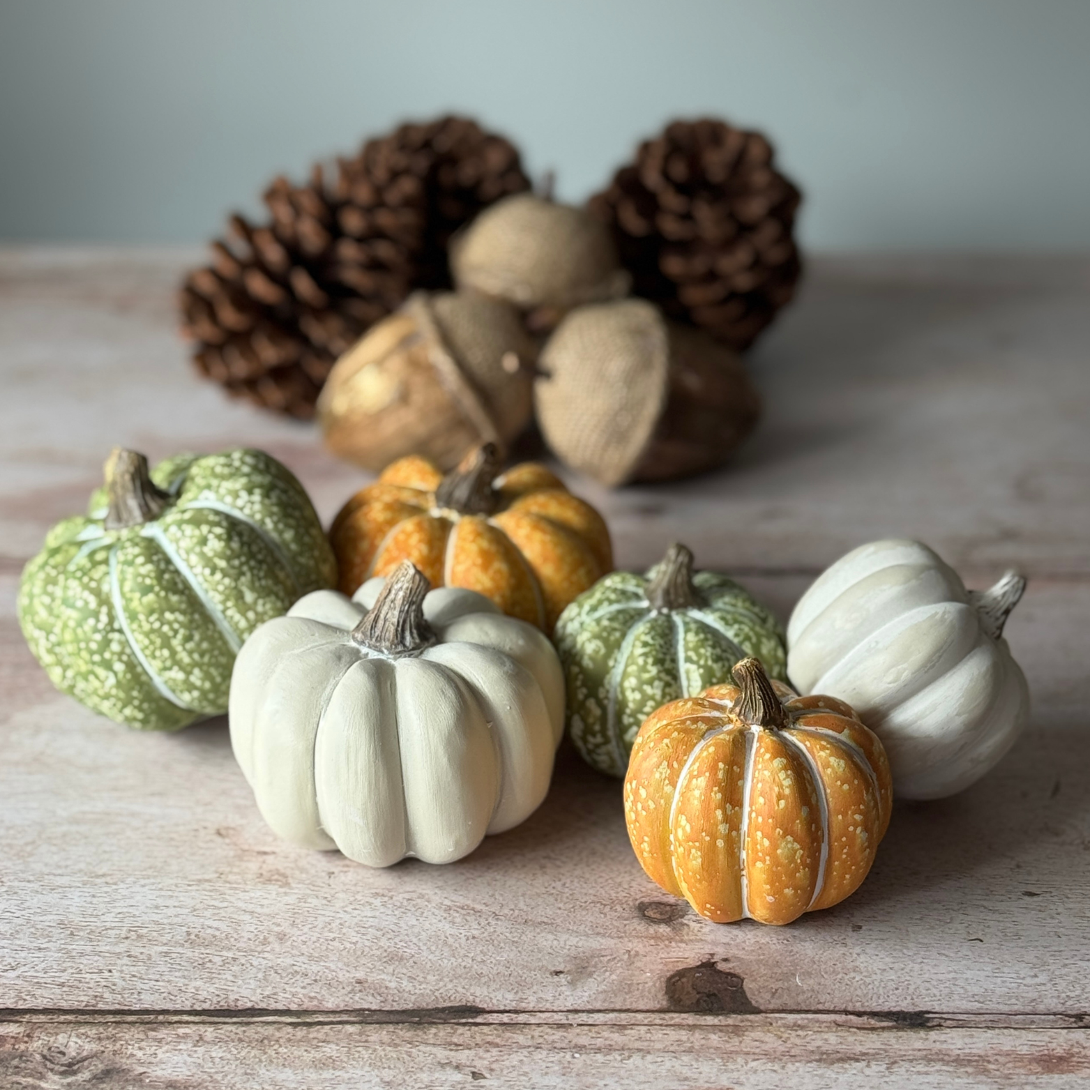 mixed size rustic pumpkins