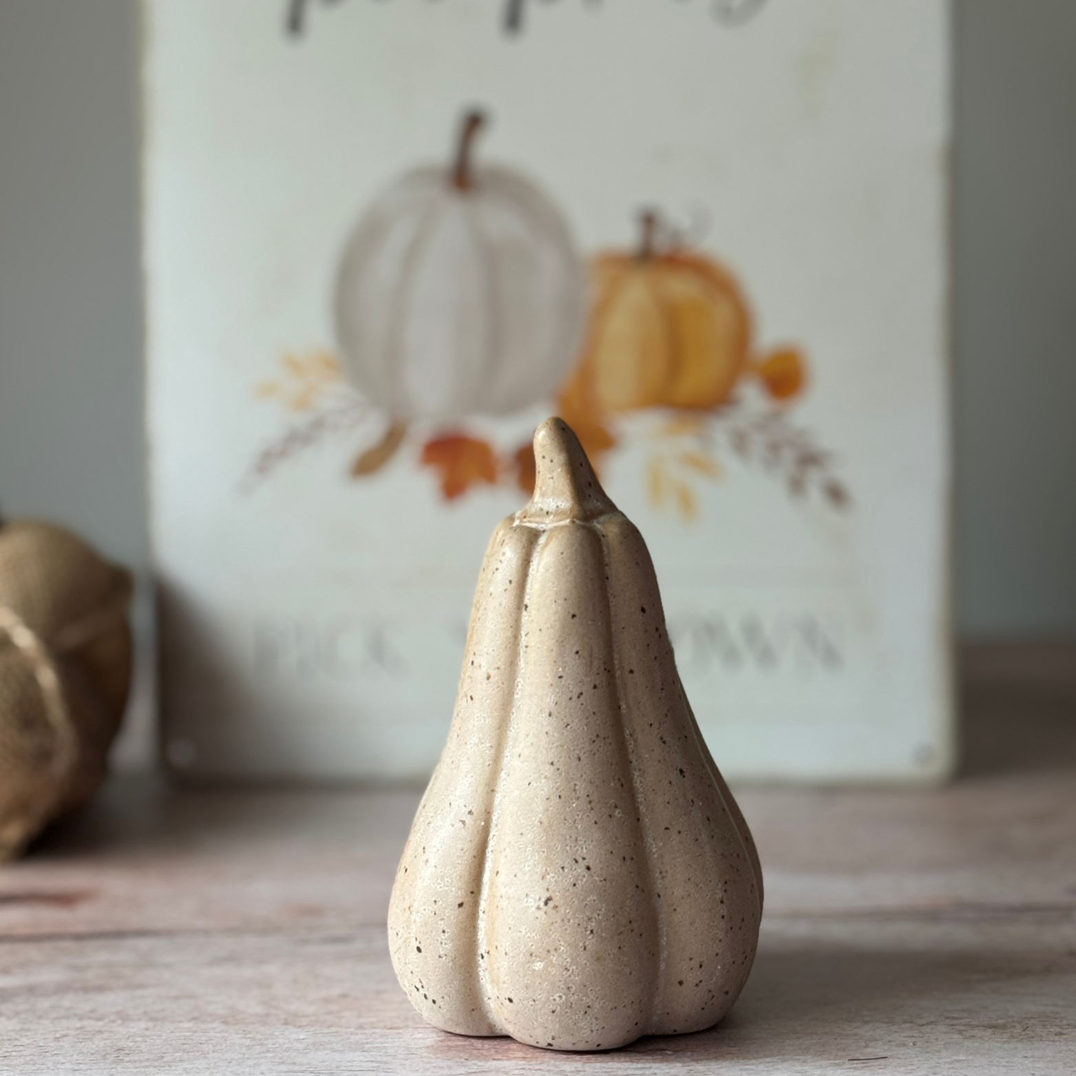 Decorative ceramic small squash on a wooden surface with a blurred background featuring pumpkins.