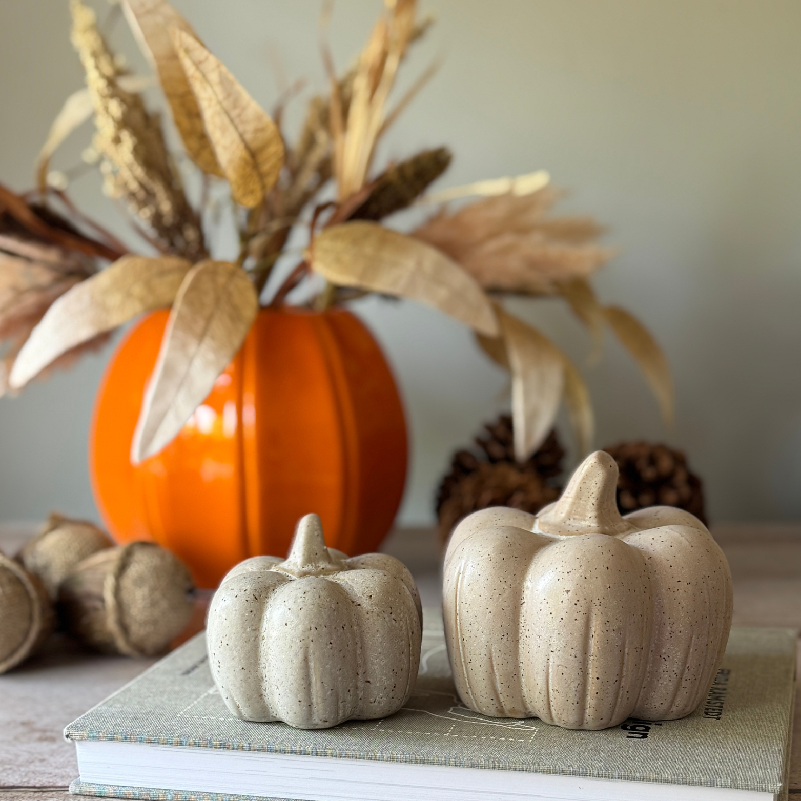 Decorative pumpkins and autumnal elements on a surface with a neutral background