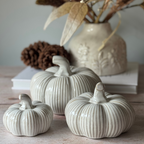 Three ceramic pumpkins on a wooden surface with a vase and decorative items in the background.