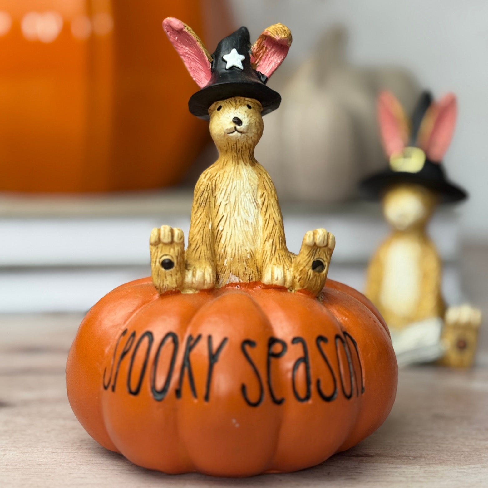 Decorative pumpkin with bunny on top wearing a witch hat  with 'Spooky Season' text.