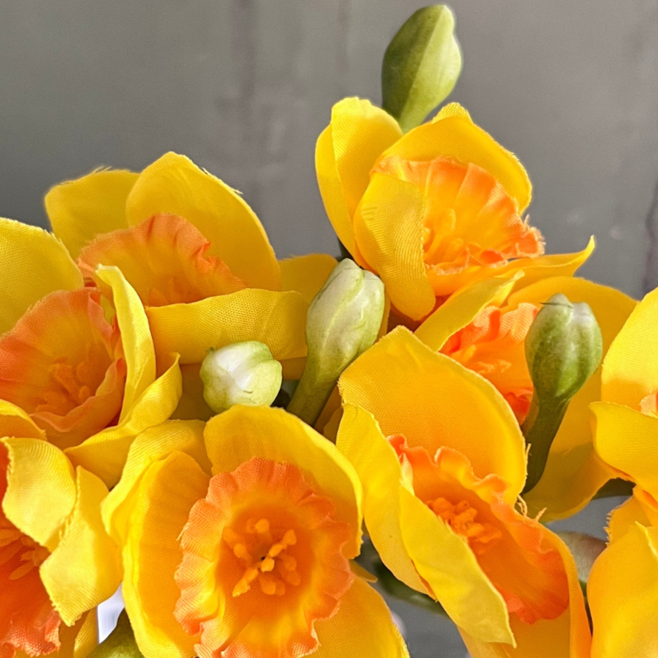 yellow daffodil bunch